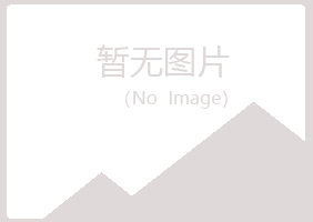 钦州夏岚采矿有限公司